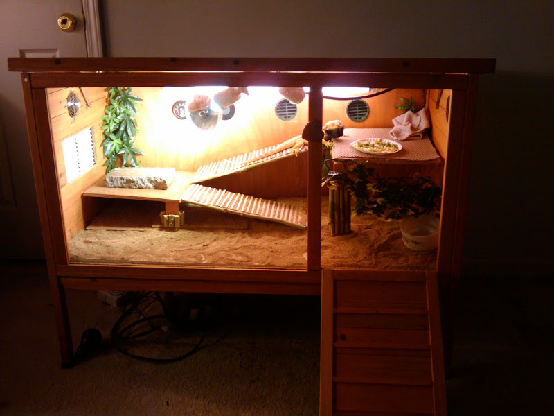 Another Custom Build Cage Enclosures Bearded Dragon
